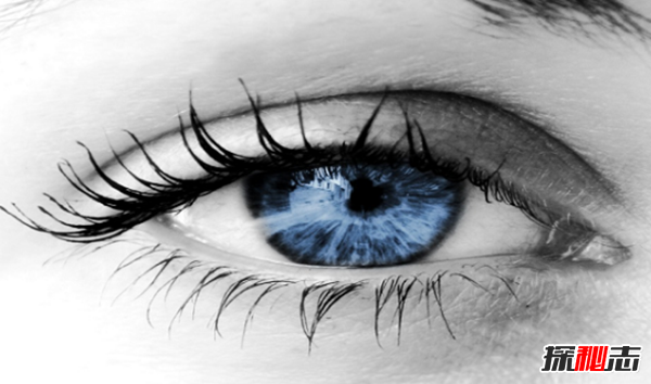 关于眼睛的12个疯狂事实,每只眼睛都含有1.07亿个细胞