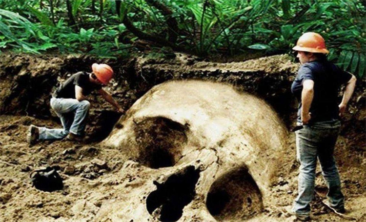 巨人的遗骸被发现 其中还存在着很多难以解答的谜题（一场闹剧）