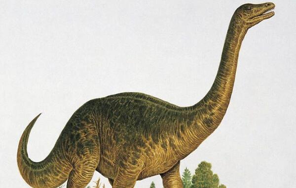 里奥哈龙：阿根廷大型食草恐龙（长11米/2.25亿年前）