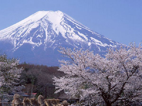 富士山式爱情是什么样？如何进行富士山式恋爱