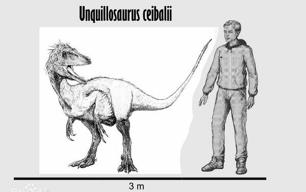 乌奎洛龙：阿根廷小型食肉恐龙（长3米/距今7000万年前）