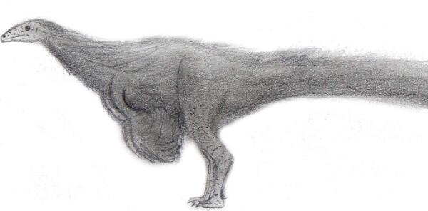 恩霹渥巴龙：非洲小型食草恐龙（长0.8米/距今1.3亿年前）