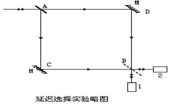 延迟实验说明了什么?人为可以改变实验结果