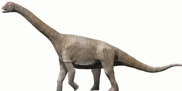 阿拉果龙：西班牙巨型食草恐龙（长18米/距今1.2亿年前）