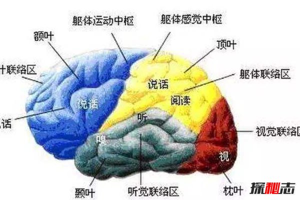 人类被隐瞒的惊人真相，地球是个监狱，人类早已被操控