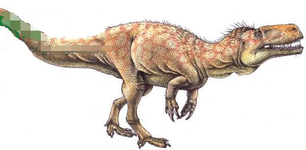维恩猎龙：德国大型食肉恐龙（长8米/距今1.8亿年前）