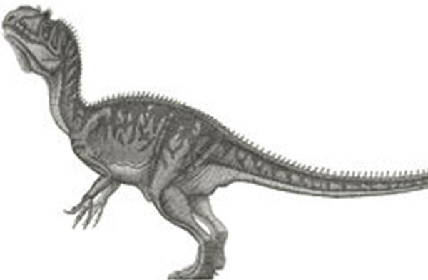 皮尔逖龙：法国大型食肉恐龙（长11米/距今1.6亿年前）