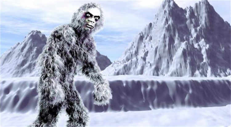 喜马拉雅山上的巨大脚印 雪人真的存在吗？（无从考究）