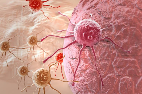 癌细胞是否可以让人永生？癌症其实是保护人类物种完整性