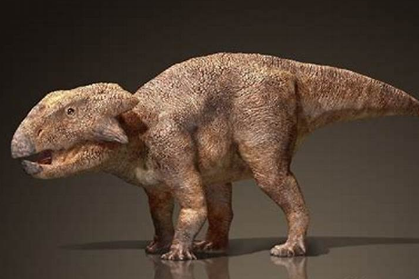 迈摩尔甲龙:北美小型恐龙(长2.7米/生于1.5亿年前)