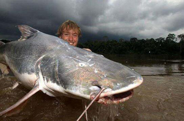 世界上排名第一凶猛的鱼 可以一口吞下一个成年男子