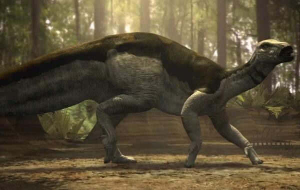 腱龙：北美洲大型食草恐龙（长7米/距今1.13亿年前）