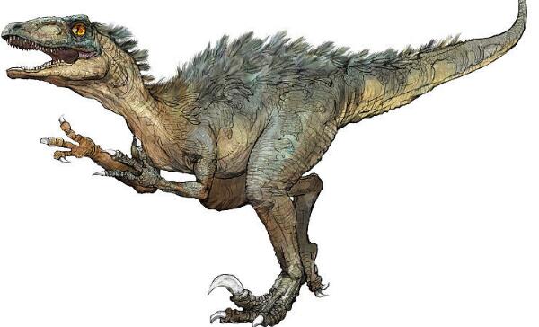 犹他盗龙：最聪明与危险的恐龙（长5.9米/1.25亿年前）
