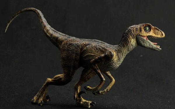 伶盗龙：侏罗纪公园中的小型恐龙（长2米/8000万年前）