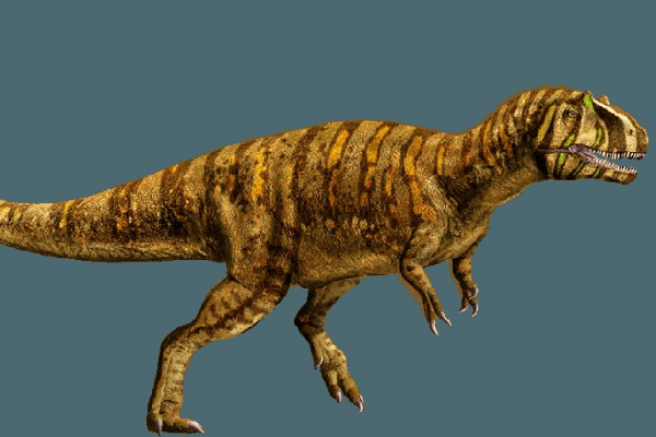 中棘龙:欧洲大型肉食恐龙(长8米/有25厘米长小棘突)