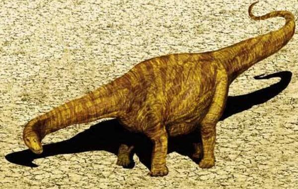 毒龙：美国大型食草恐龙（长8米/距今1.3亿年前）