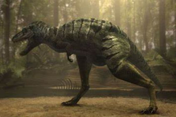 矮暴龙:北美大型食肉恐龙(长7米/与霸王龙媲美)