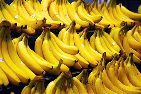 世界上最长的香蕉种类是什么 牛角香蕉（大概60cm）