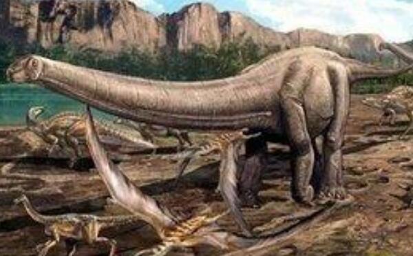 大夏巨龙：中国最长的恐龙之一（长30米/距今1.2亿年前）