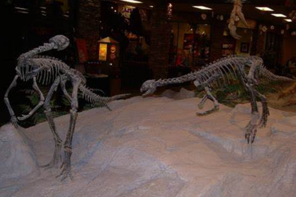 奥斯尼尔龙:美国小型恐龙(长1.4米/仅出土一块股骨)