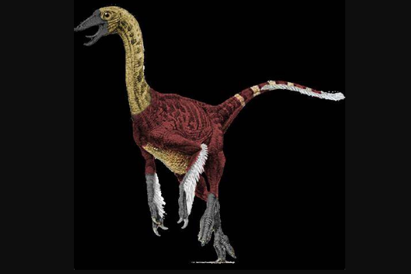 鸟面龙:蒙古小型恐龙(最小仅60厘米/第4种有羽恐龙)