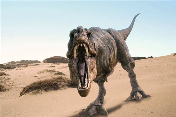 恐龙时代人类在干嘛 人类和恐龙一同存在吗