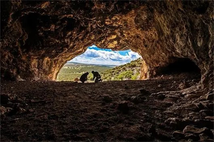 一万多年前形成的古老洞穴 拥有非常奇特的构造（树懒）