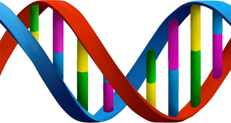 人类的DNA被动过手脚吗 是否和高等文明有关？（仍需探索）