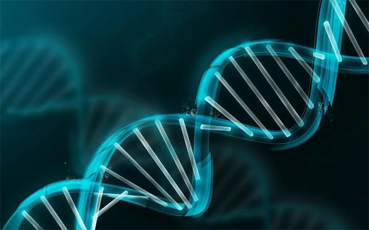 人类的DNA被动过手脚吗 是否和高等文明有关？（仍需探索）