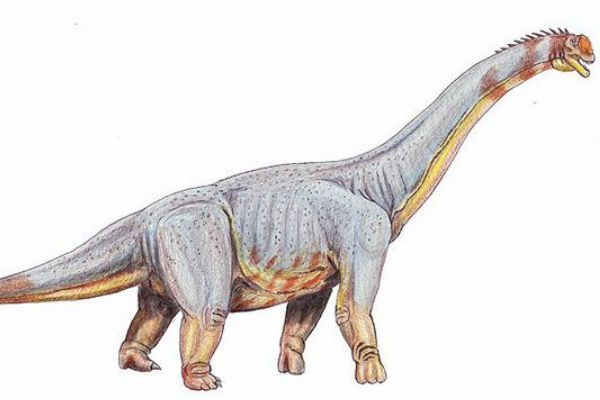 帕拉克西龙:北美超巨型恐龙(长20米/出土于美国德州)