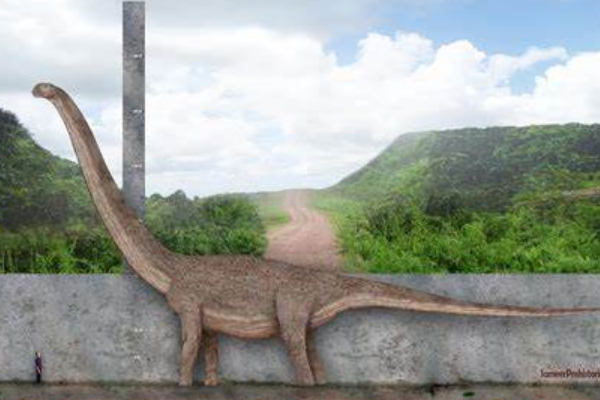 普尔塔龙:全球第三大恐龙(长40米/诞生于7000万年前)