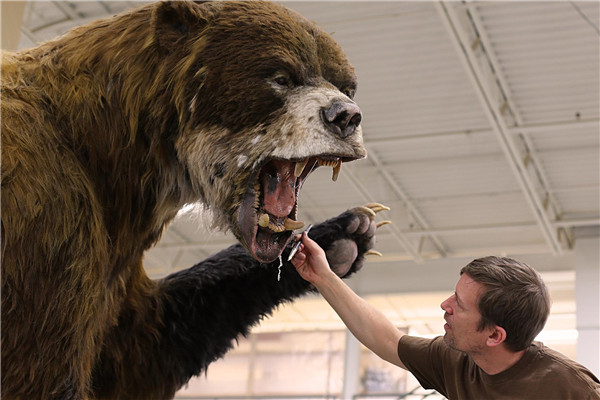 巨型短面熊的对手是谁 巨型短面熊和美洲拟狮谁厉害
