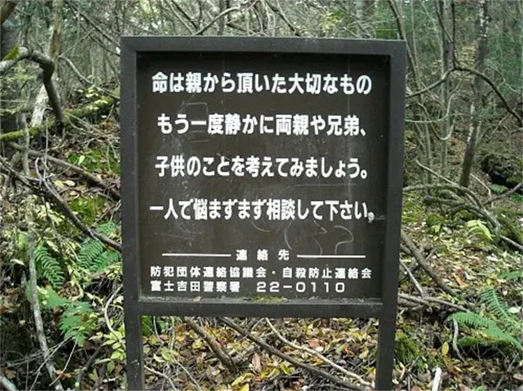 位于日本的自杀圣地 遍地都是死者的尸体（青木原林海）