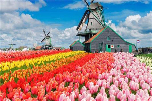 世界海拔低的国家排名前五名 荷兰是世界上地势最低的国家
