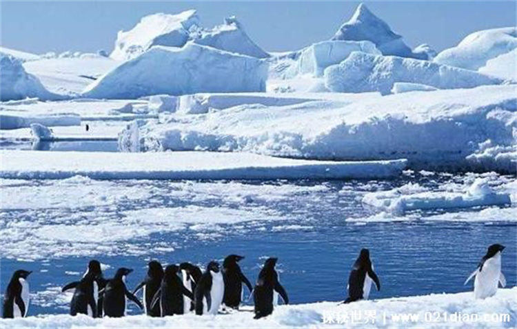 外星人建立的秘密基地在南极吗 被捕获的异常信号（无从考究）