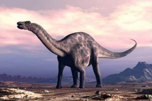 叉背龙:非洲超巨型恐龙(长20米/长有高耸神经棘)