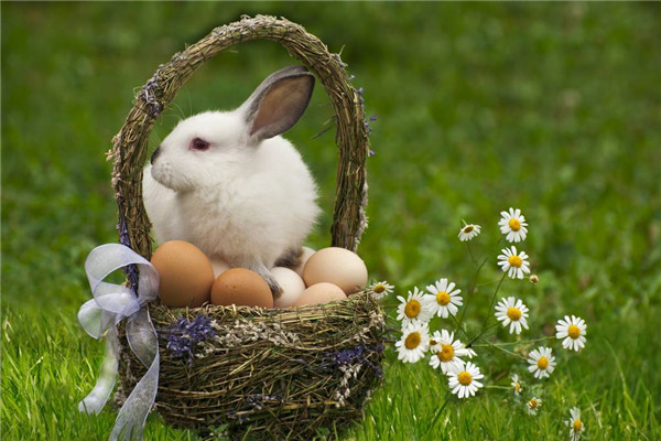 复活节兔子为什么恐怖 兔子蛋上涂上血的颜色看着恐怖