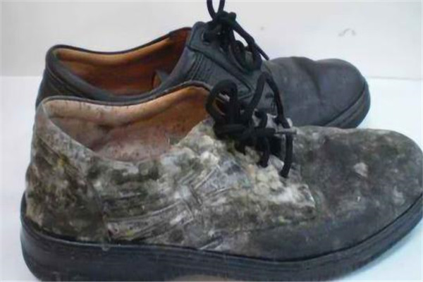 皮鞋发霉了怎么清洗 保养皮鞋的方法有哪些