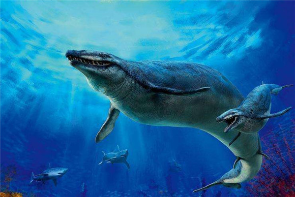 古蜥鲸vs龙王鲸 相恨相杀的古蜥鲸和龙王鲸