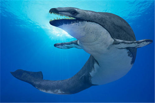 古蜥鲸vs龙王鲸 相恨相杀的古蜥鲸和龙王鲸