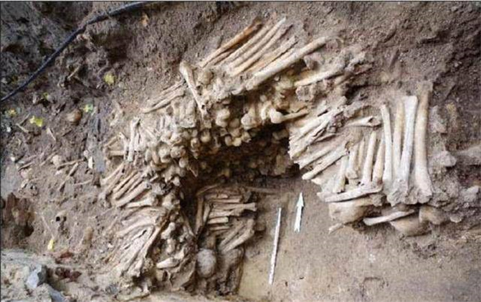 比利时一教堂发现骷髅墙，可追溯到15世纪，考古学家万分惊喜