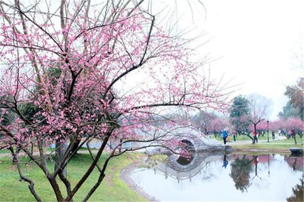 我国最神奇的年份 双春年（农历一年中有两个立春节气）