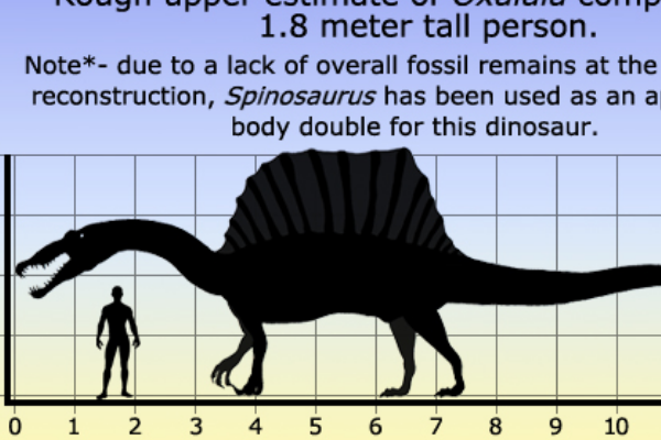 奥沙拉龙:巴西大型恐龙(长14米/长有高耸背棘)
