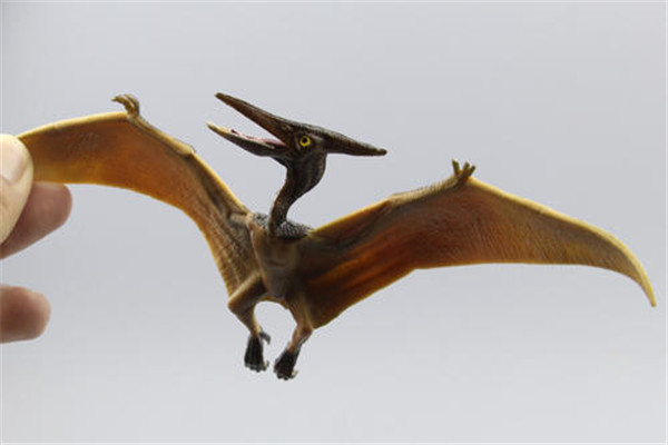会飞的爬行动物 翼龙类恐龙无齿翼龙（白垩纪时期）
