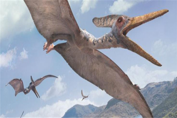 会飞的爬行动物 翼龙类恐龙无齿翼龙（白垩纪时期）