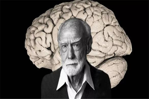 大脑极限：人类进化的极限 人类大脑极限难以预测