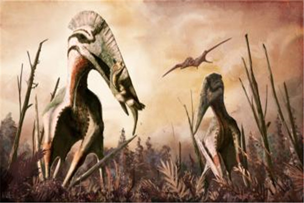 哈特兹哥翼龙 一种以恐龙为食的巨型翼龙（顶级掠食者）