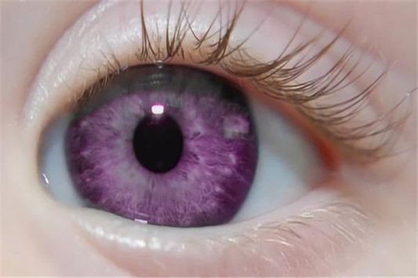 世界上最稀有的眼睛颜色 美丽神秘的紫色（伊丽莎白泰勒）