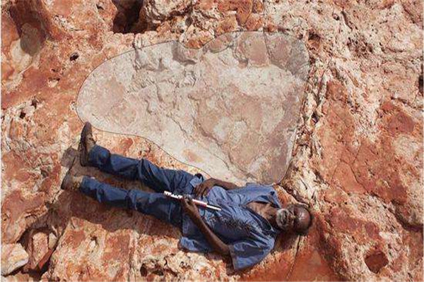 世界上最长的恐龙足迹 恐龙足迹有哪些重要意义（311米）