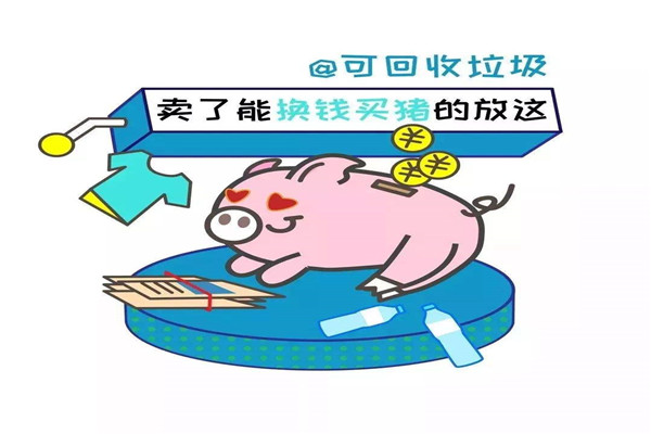 猪能吃的垃圾分类 如何用猪区分垃圾（能吃的是湿垃圾）